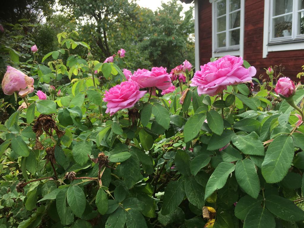 Thorstorps Gard B&B Söderköping Eksteriør billede